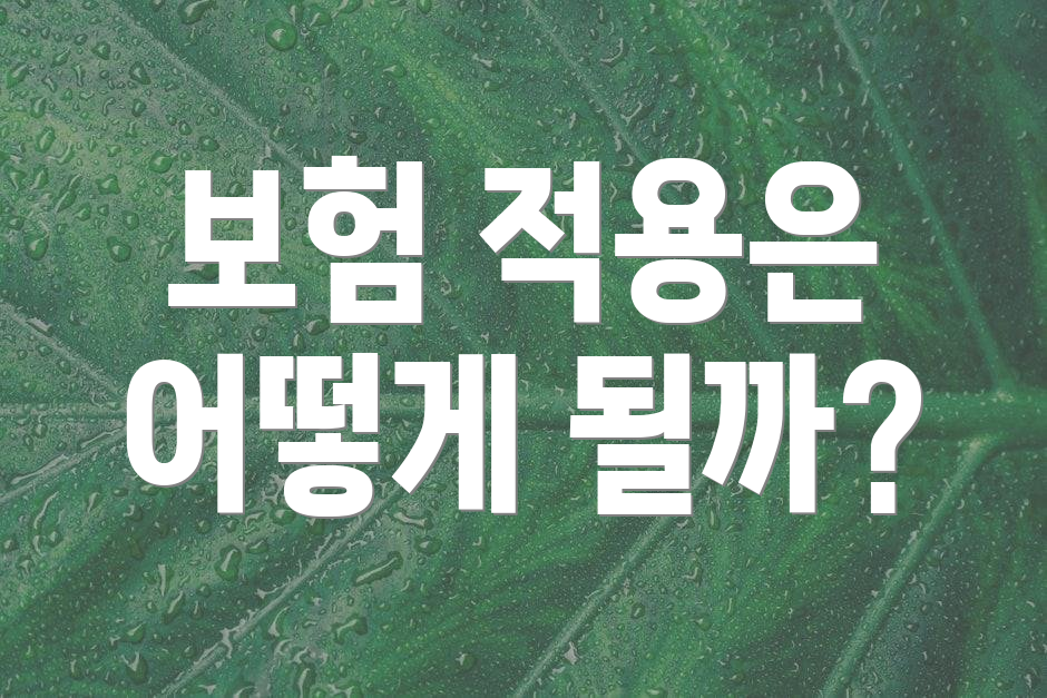 보험 적용은 어떻게 될까?