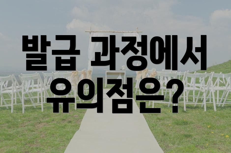 발급 과정에서 유의점은?