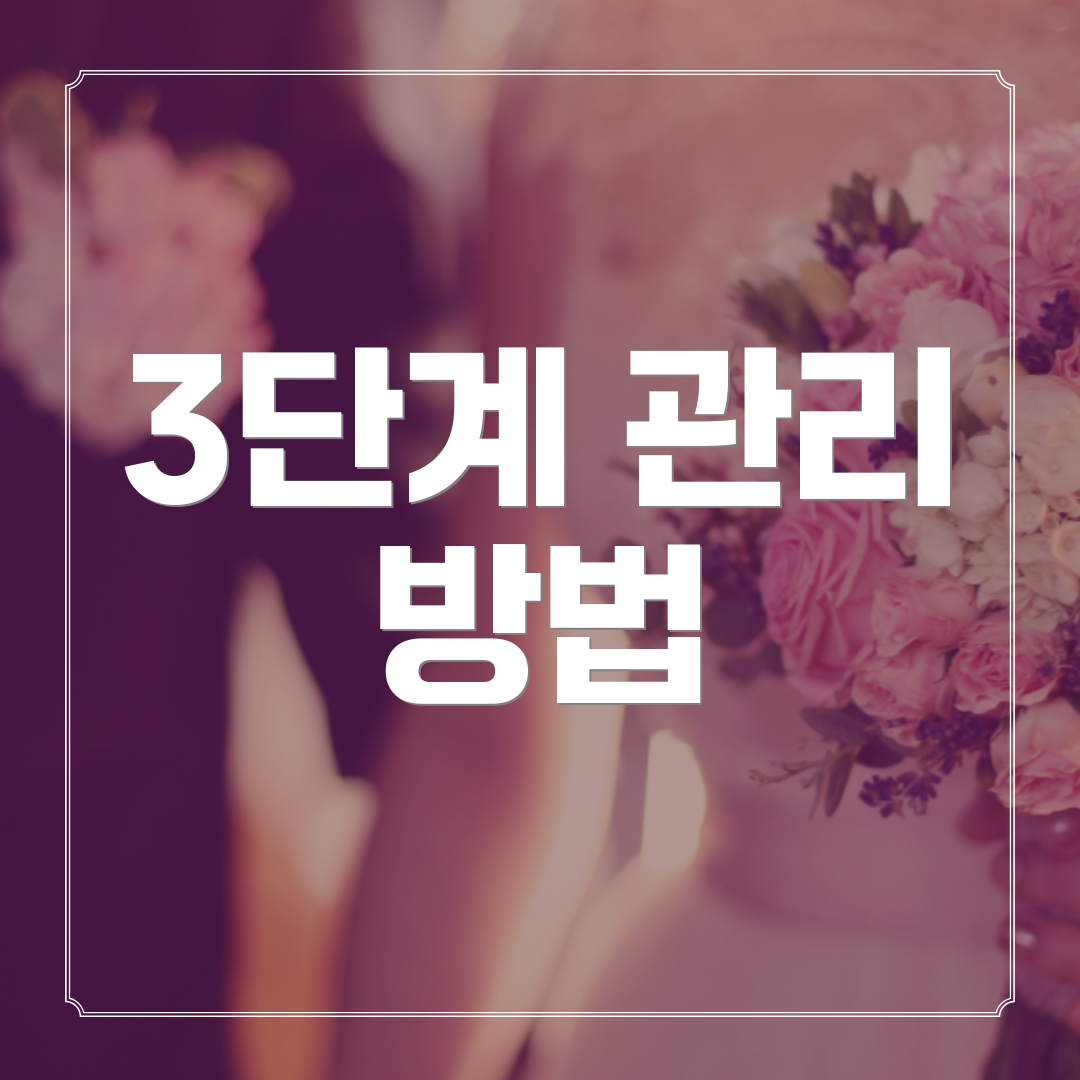 3단계 관리 방법