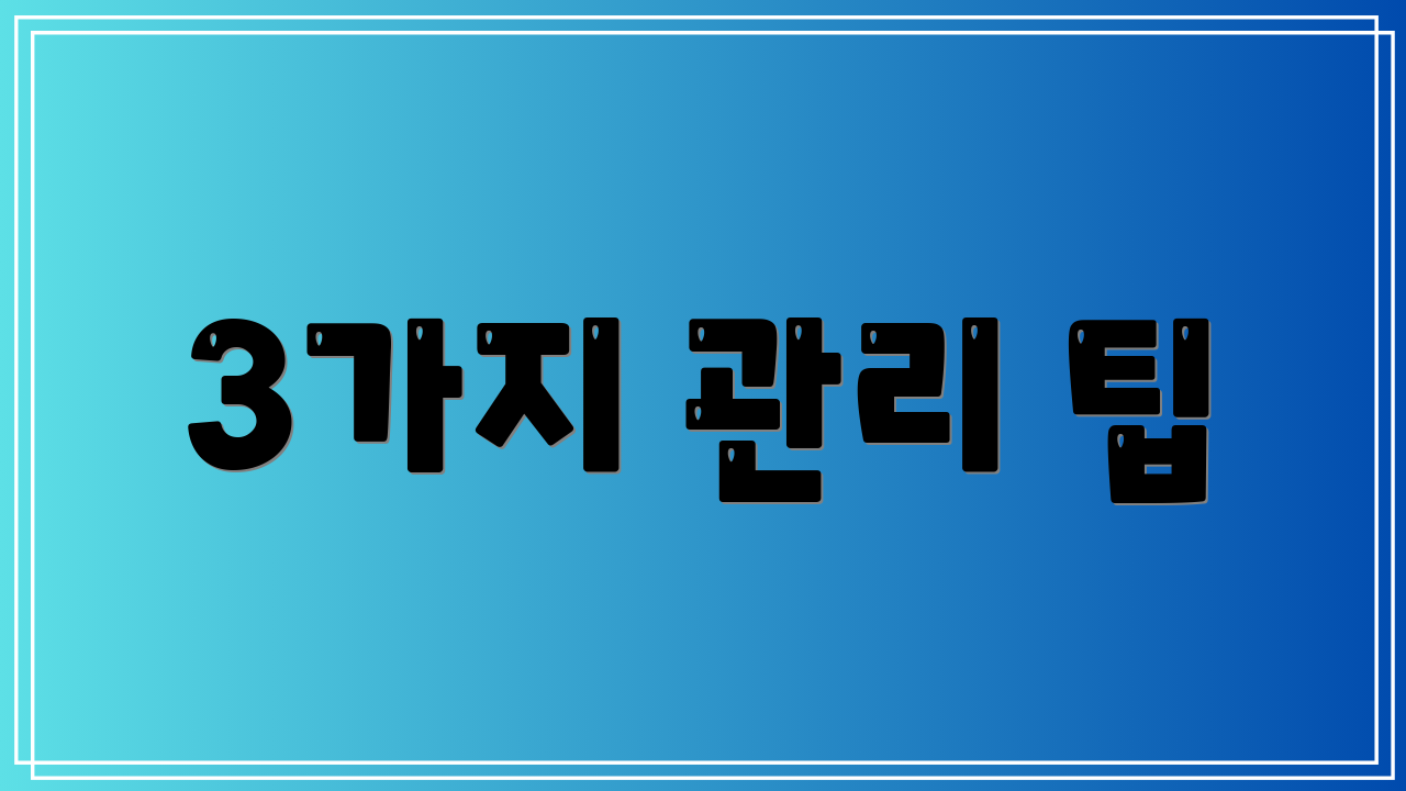 3가지 관리 팁
