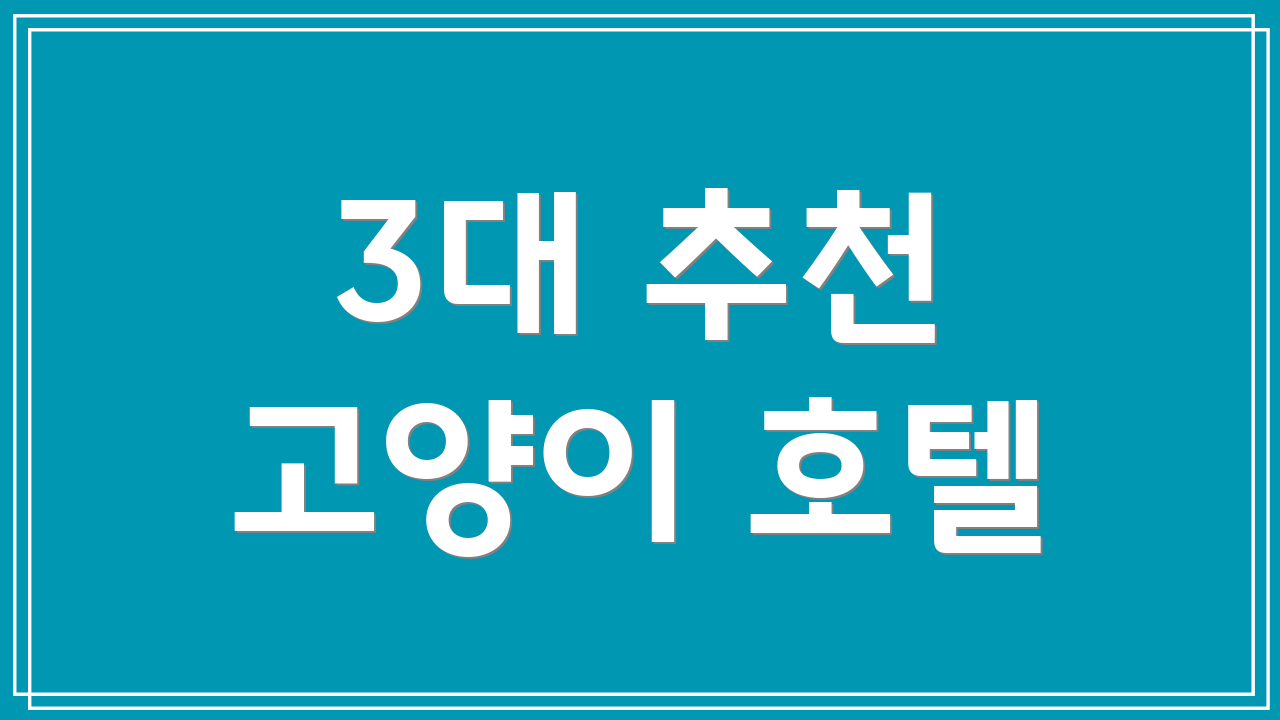3대 추천 고양이 호텔