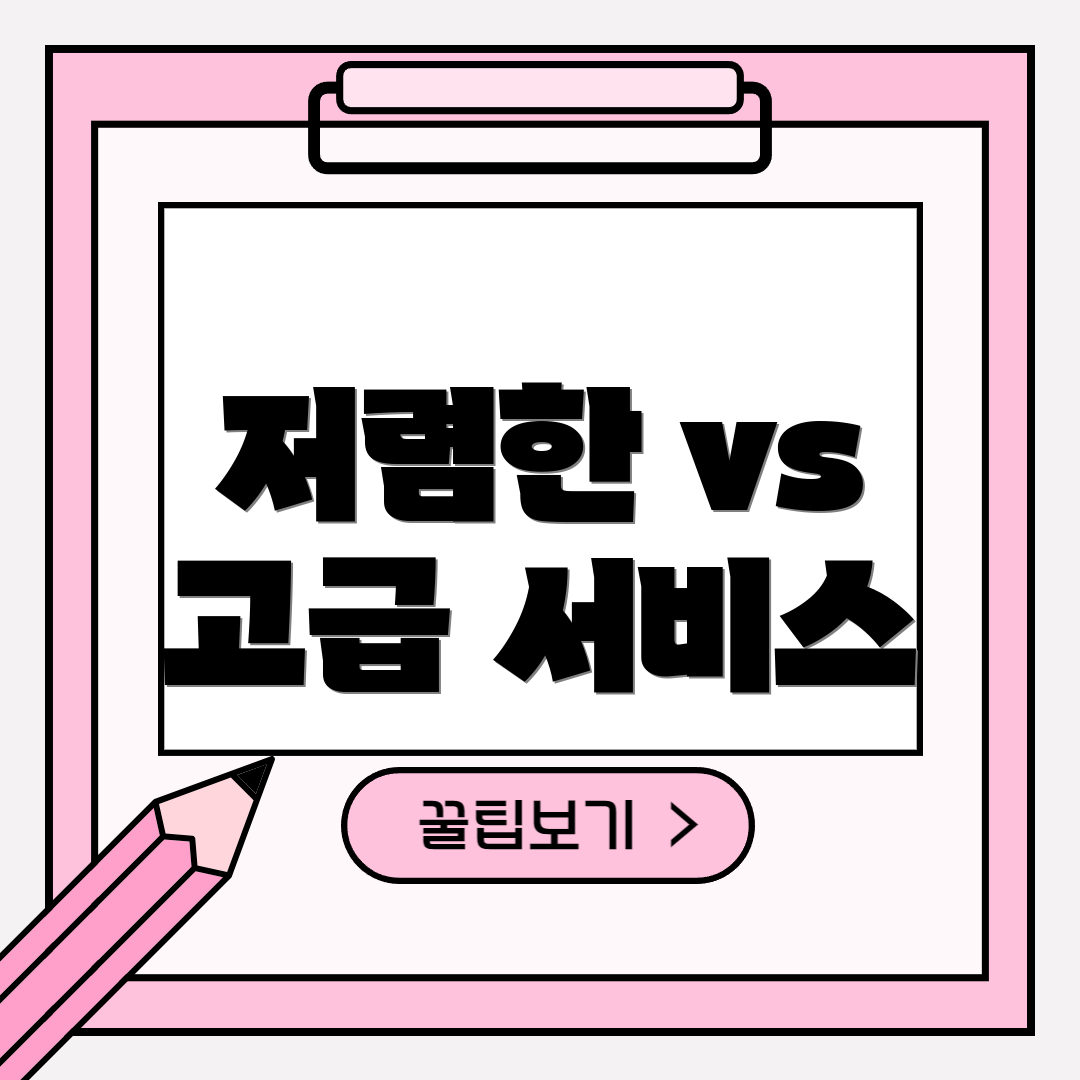 저렴한 vs 고급 서비스