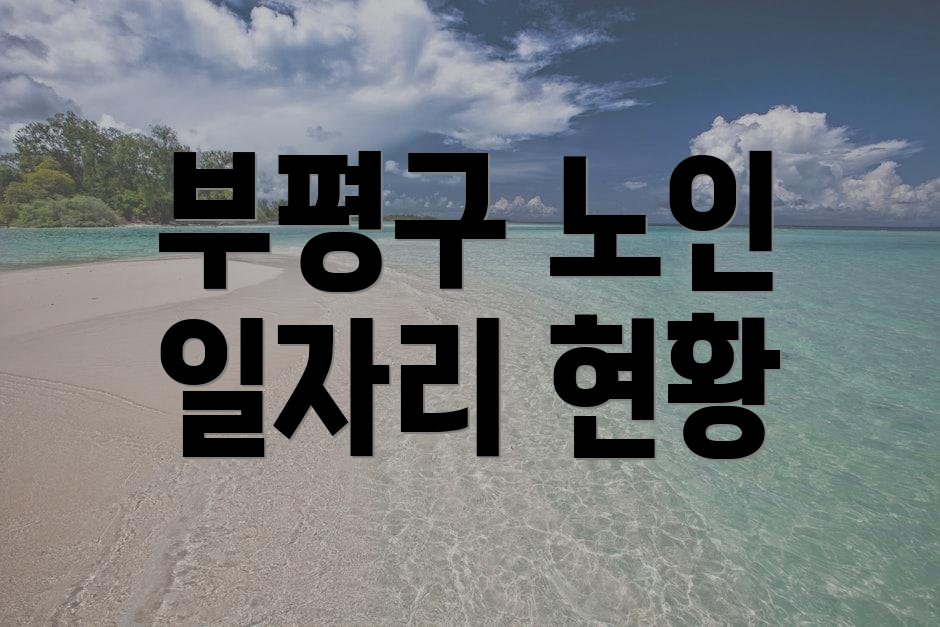 부평구 노인 일자리 현황