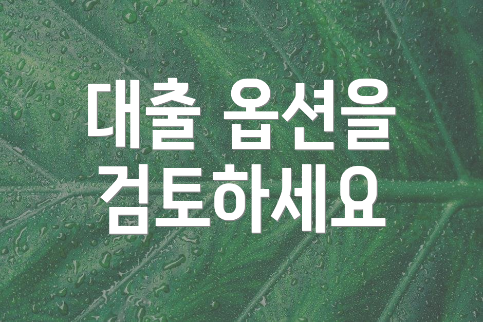 대출 옵션을 검토하세요