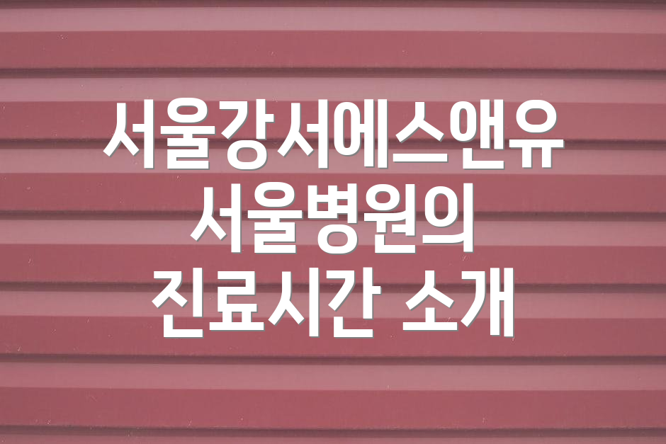 서울강서에스앤유서울병원의 진료시간 소개