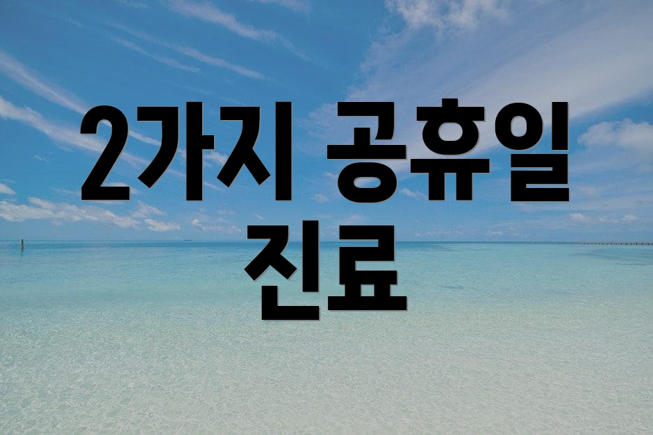 2가지 공휴일 진료