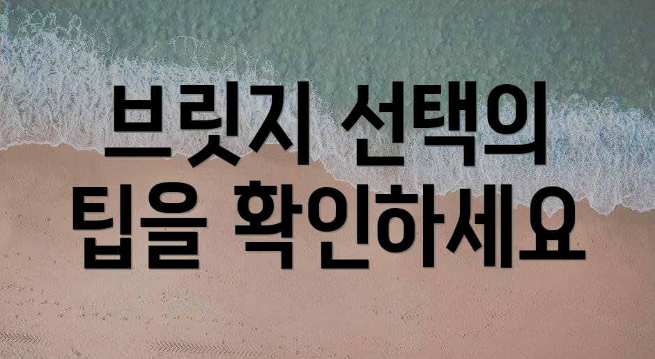 브릿지 선택의 팁을 확인하세요