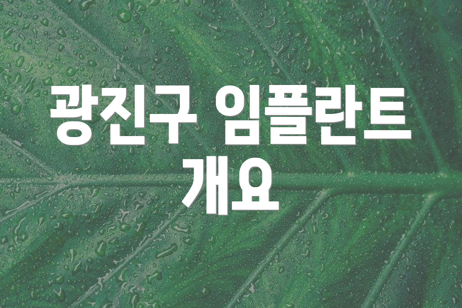 광진구 임플란트 개요