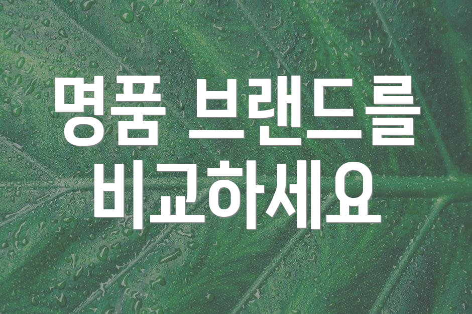 명품 브랜드를 비교하세요