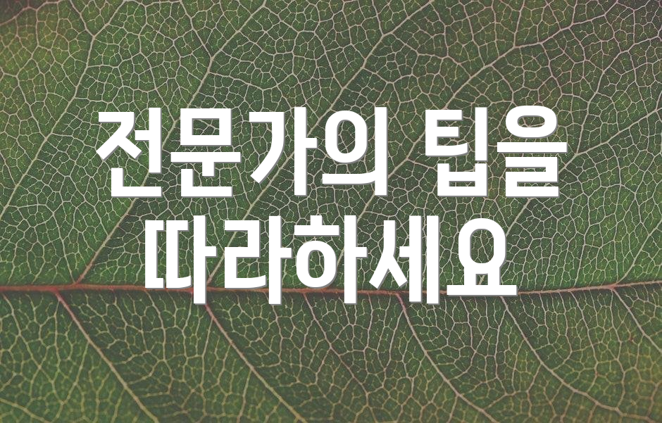 전문가의 팁을 따라하세요