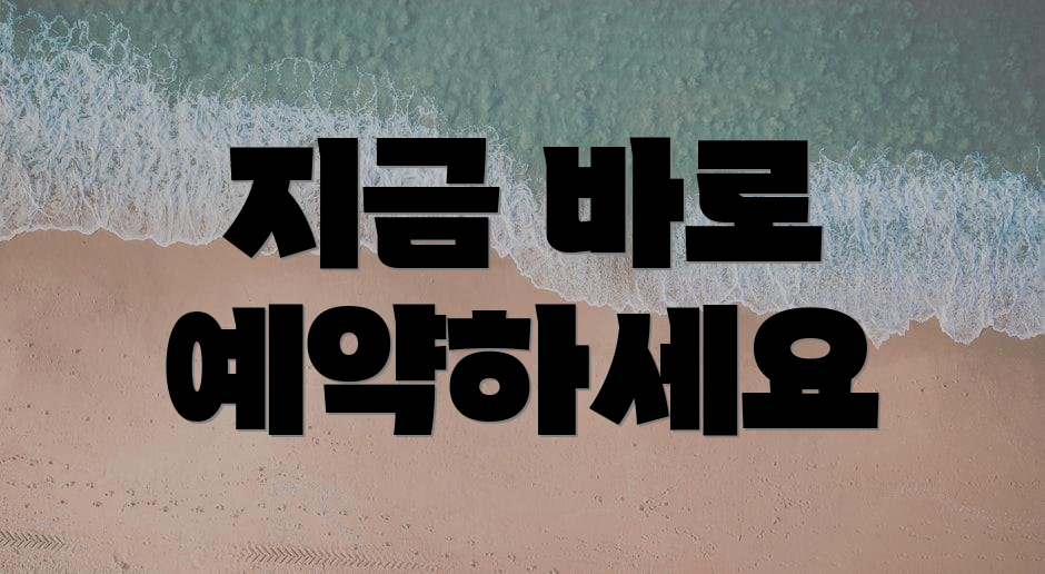 지금 바로 예약하세요