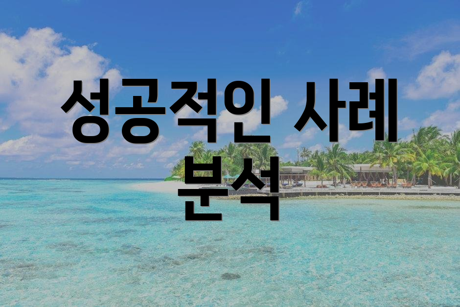 성공적인 사례 분석