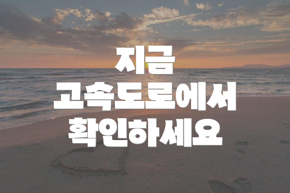 지금 고속도로에서 확인하세요