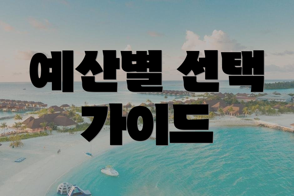 예산별 선택 가이드