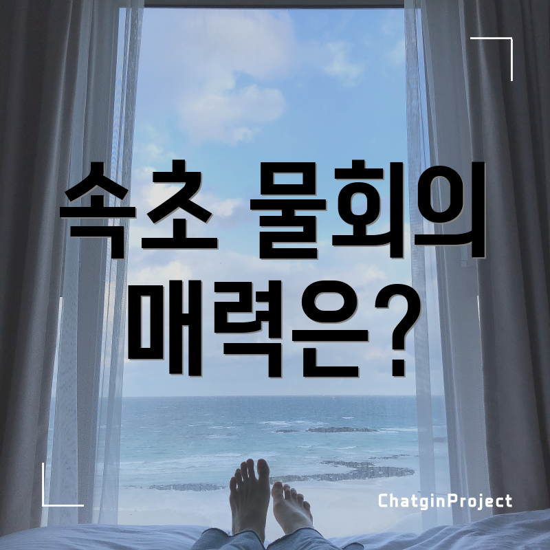 속초 물회의 매력은?