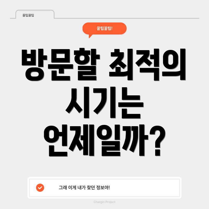 방문할 최적의 시기는 언제일까?
