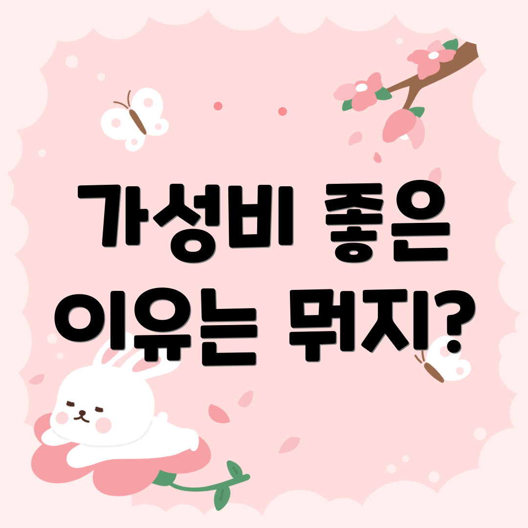 가성비 좋은 이유는 뭐지?