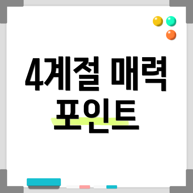 4계절 매력 포인트