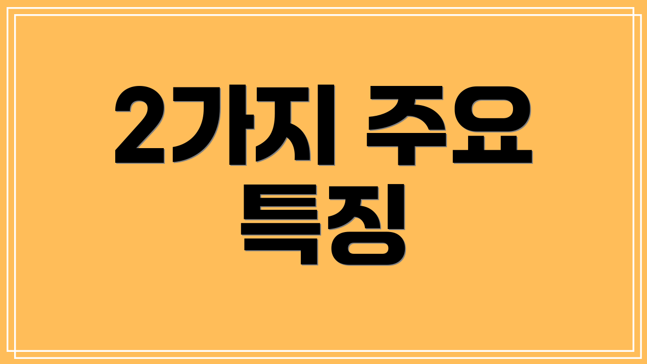 2가지 주요 특징