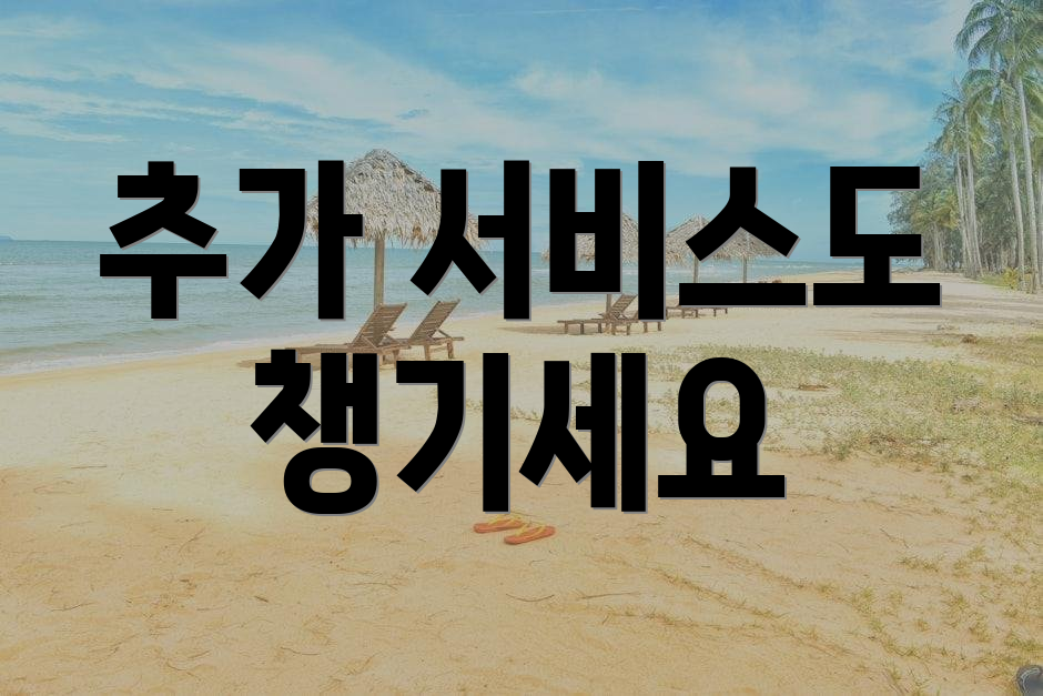 추가 서비스도 챙기세요