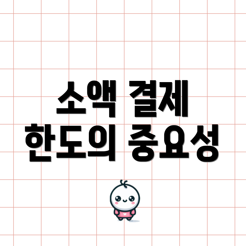 소액 결제 한도의 중요성