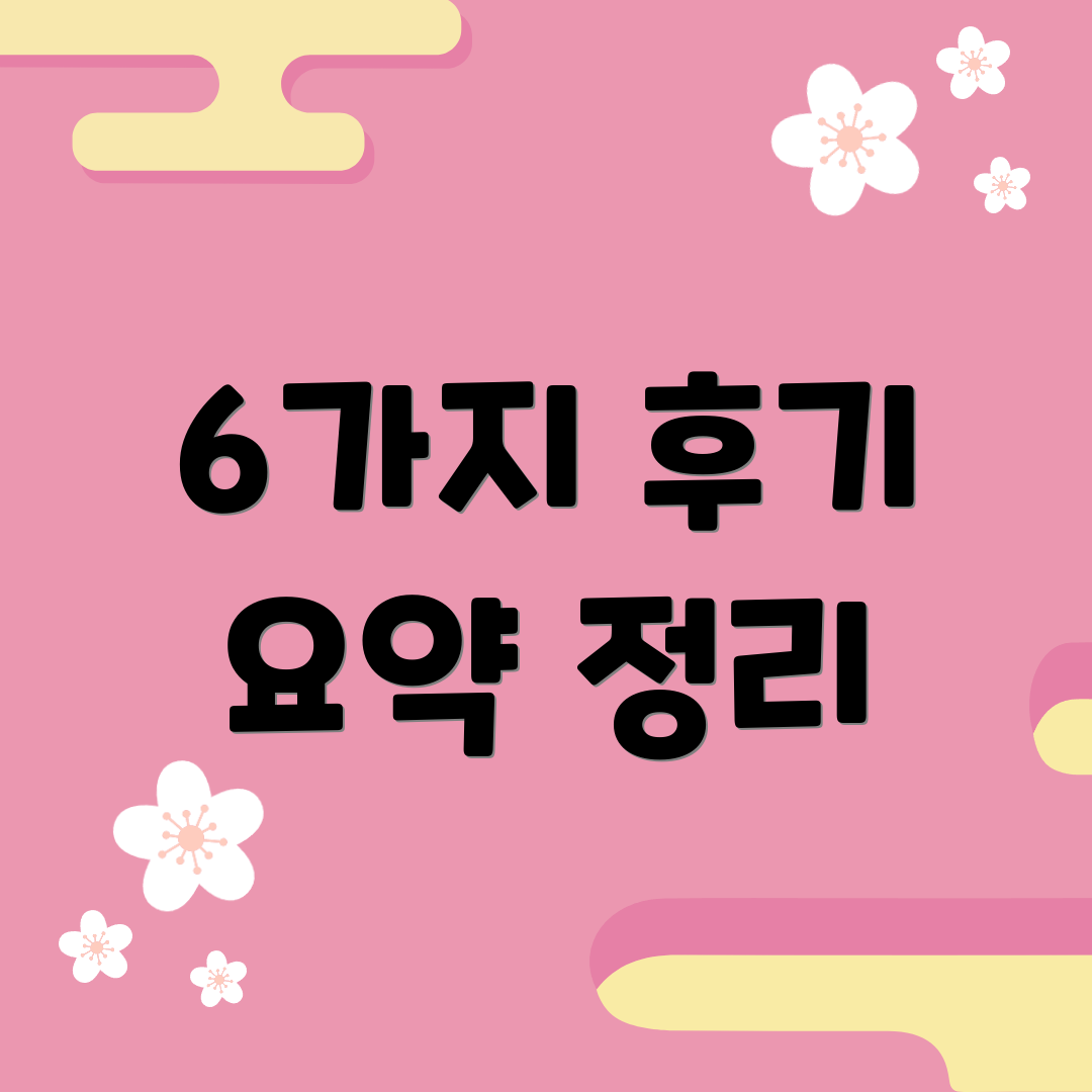 6가지 후기 요약 정리