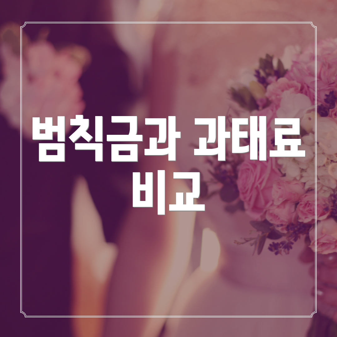 범칙금과 과태료 비교