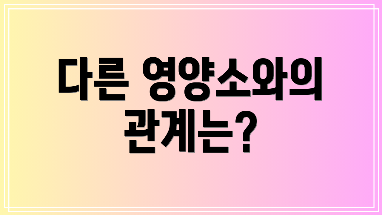 다른 영양소와의 관계는?