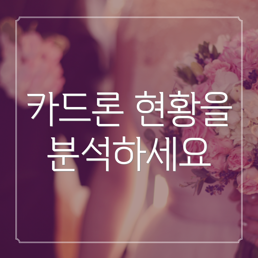 카드론 현황을 분석하세요