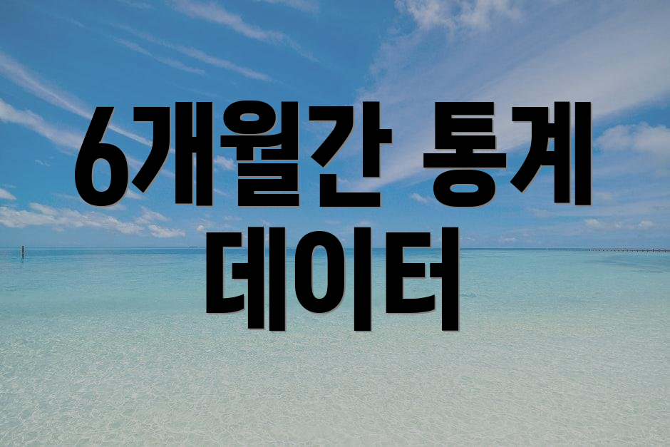 6개월간 통계 데이터