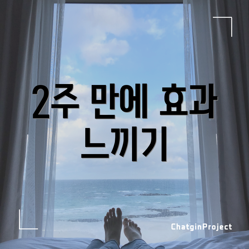 2주 만에 효과 느끼기