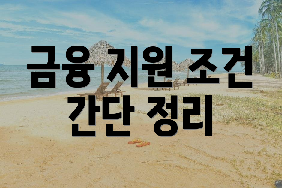 금융 지원 조건 간단 정리