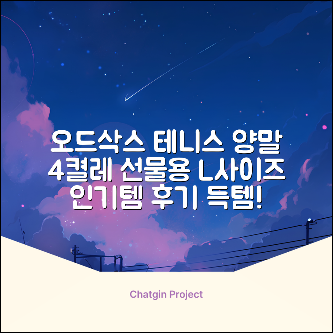 [오드삭스] 테니스 양말 세트B 4켤레 선물용, L(255mm-275mm), 1개 추천 리뷰
