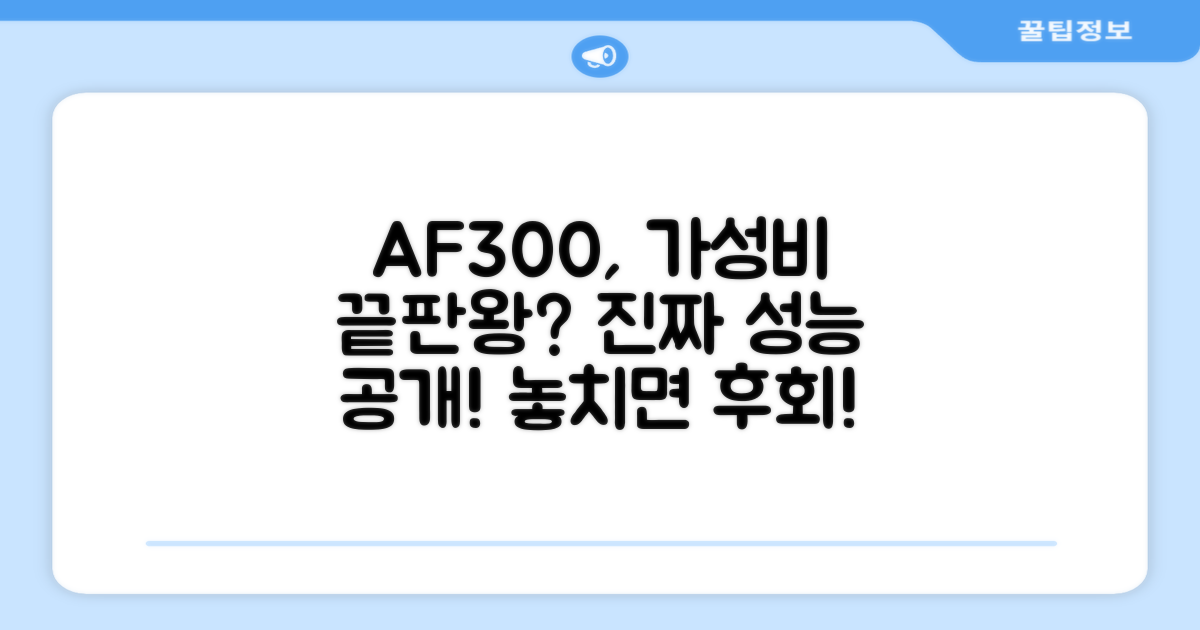 AF300, 진짜 가성비일까?