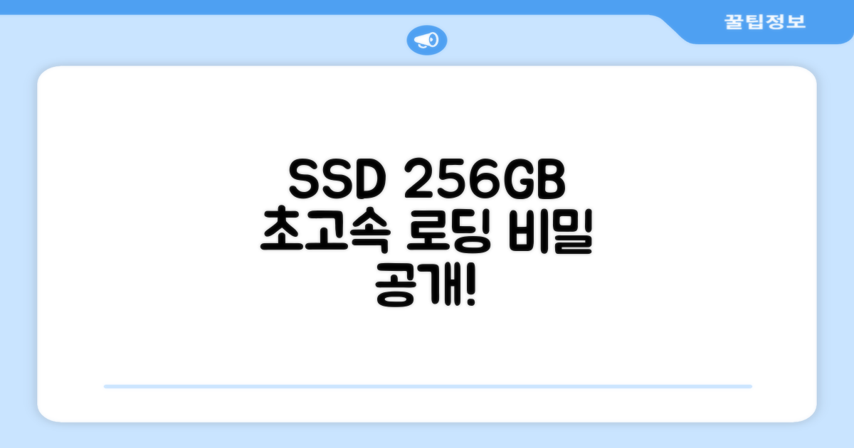 256GB SSD, 빠른 로딩 속도의 비밀