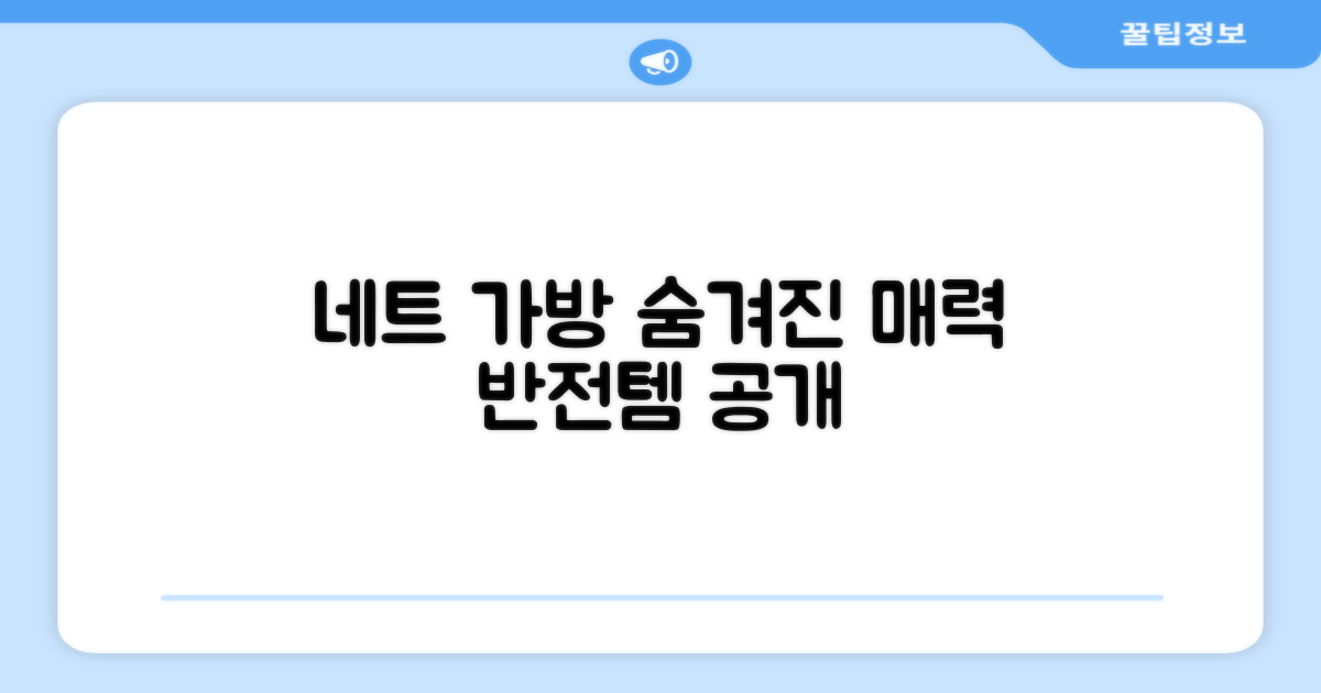 네트 전용 가방, 숨겨진 매력 공개