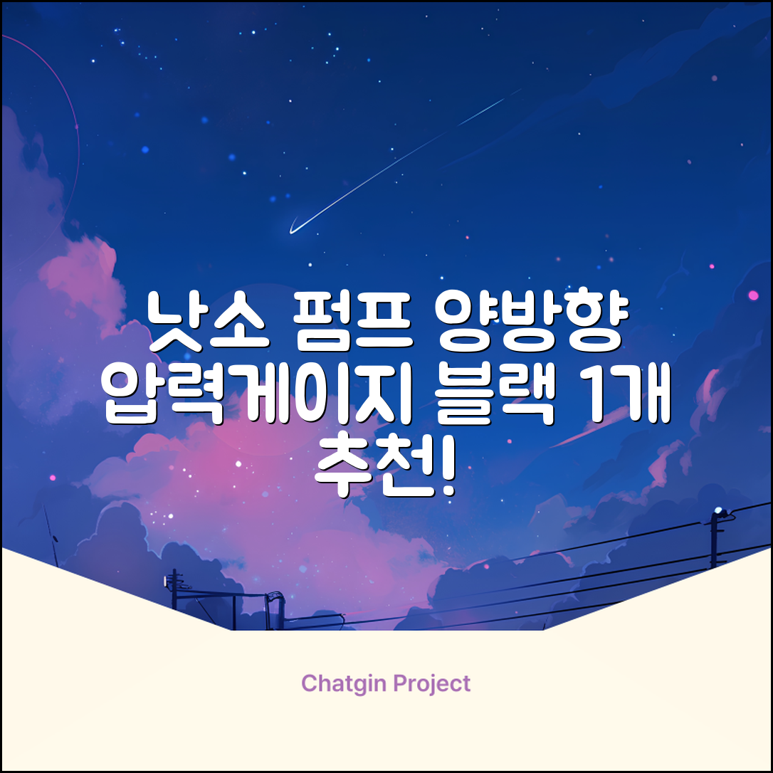 낫소 양방향 압력게이지 펌프, 블랙, 1개 추천 리뷰