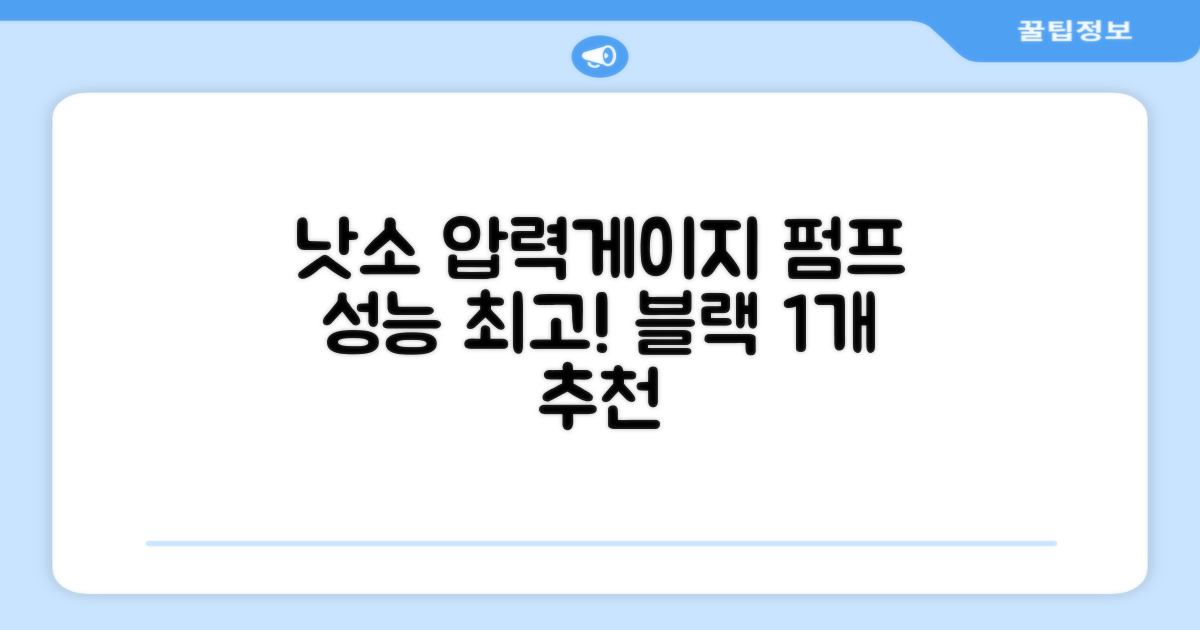 낫소 양방향 압력게이지 펌프, 블랙, 1개 추천 리뷰