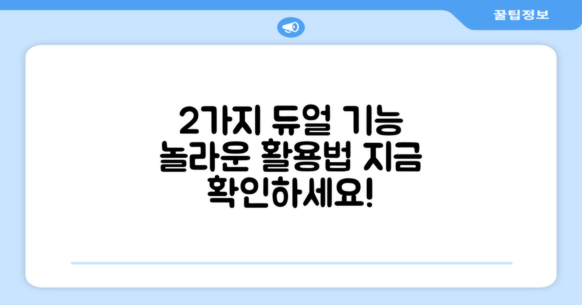 2가지 듀얼 기능