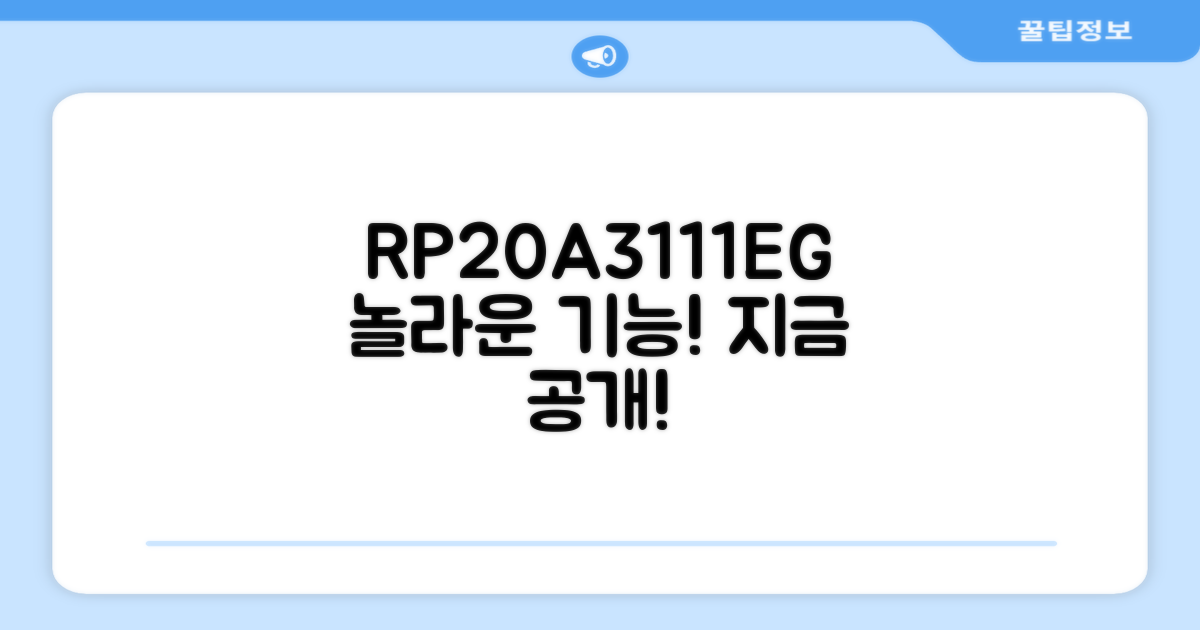 RP20A3111EG, 특별한 기능은?