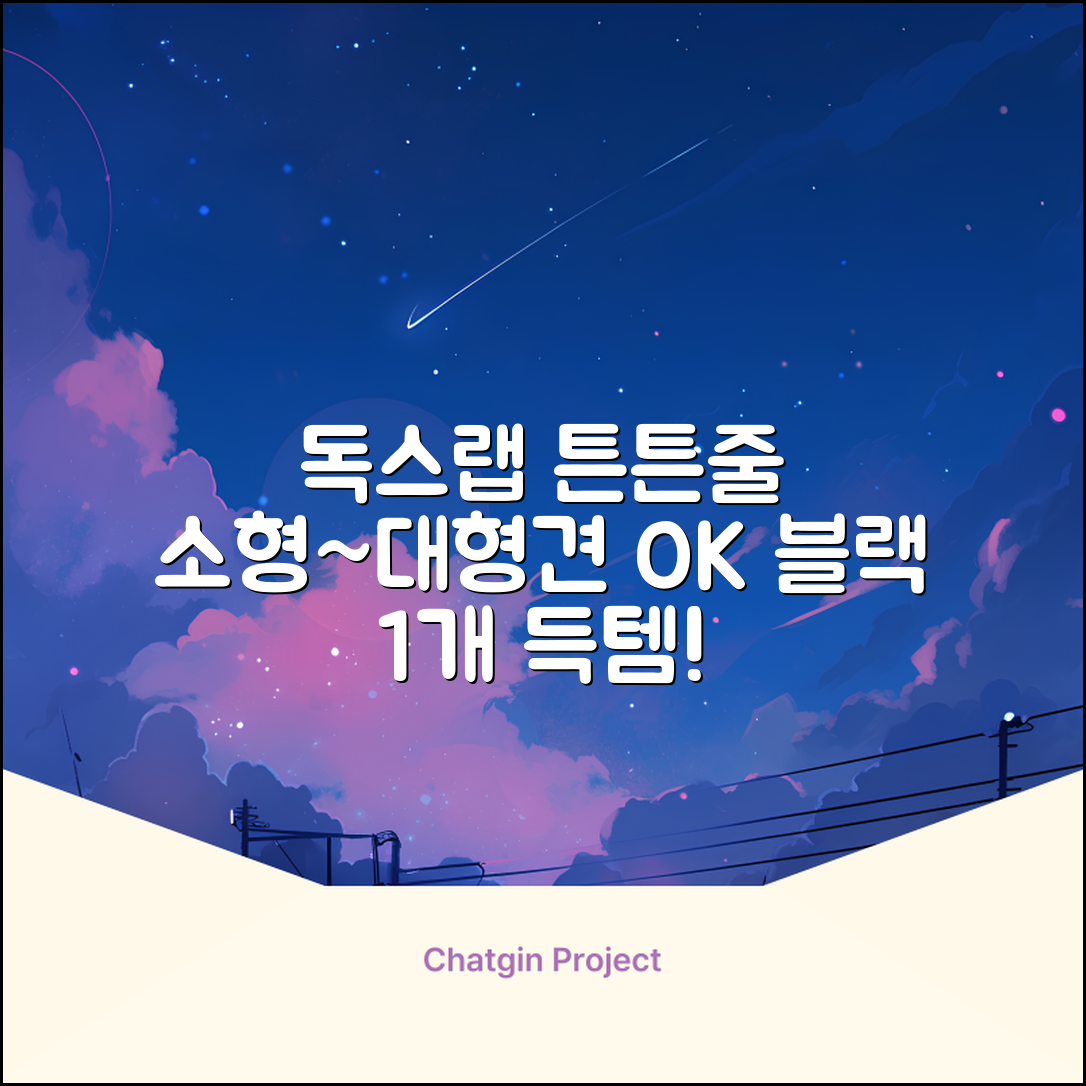 독스랩 1.5m 2m 3m 5m 스트롱 로프 소형견 중형견 대형견 줄 강아지 리드줄 산책줄, 블랙, 1개 추천 리뷰