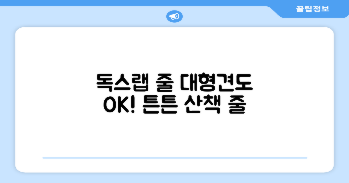 독스랩 1.5m 2m 3m 5m 스트롱 로프 소형견 중형견 대형견 줄 강아지 리드줄 산책줄, 블랙, 1개 추천 리뷰