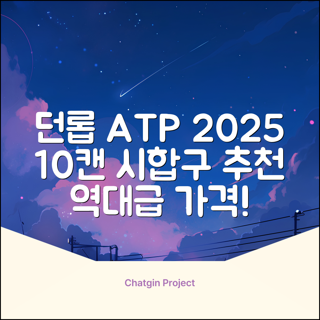 2025 던롭 ATP 테니스공 10캔 (20볼) 시합구, 던롭 ATP볼 10캔 (20볼), 10세트 추천 리뷰