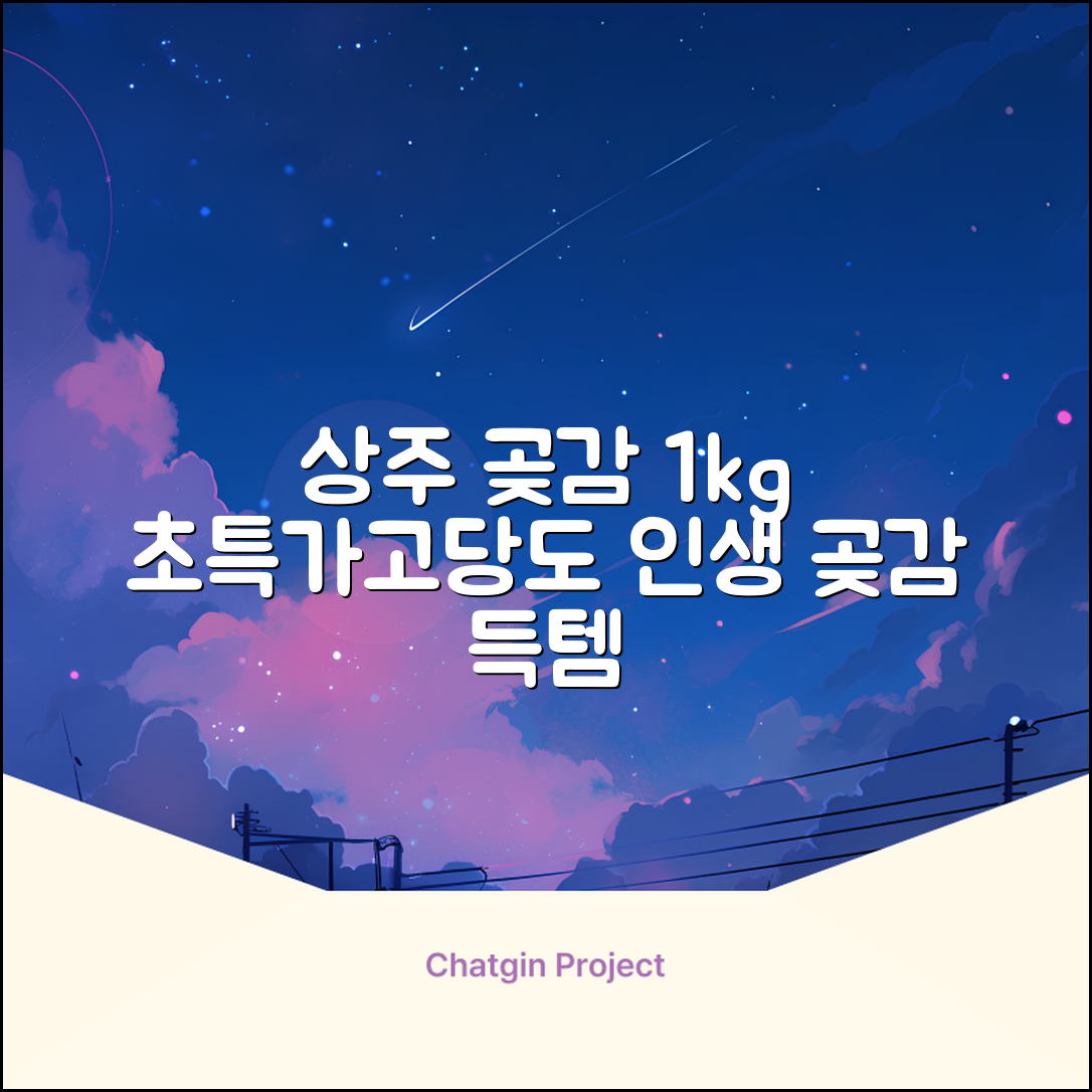 상주 곶감 초특가 1kg 고당도 햇감, 1개 추천 리뷰