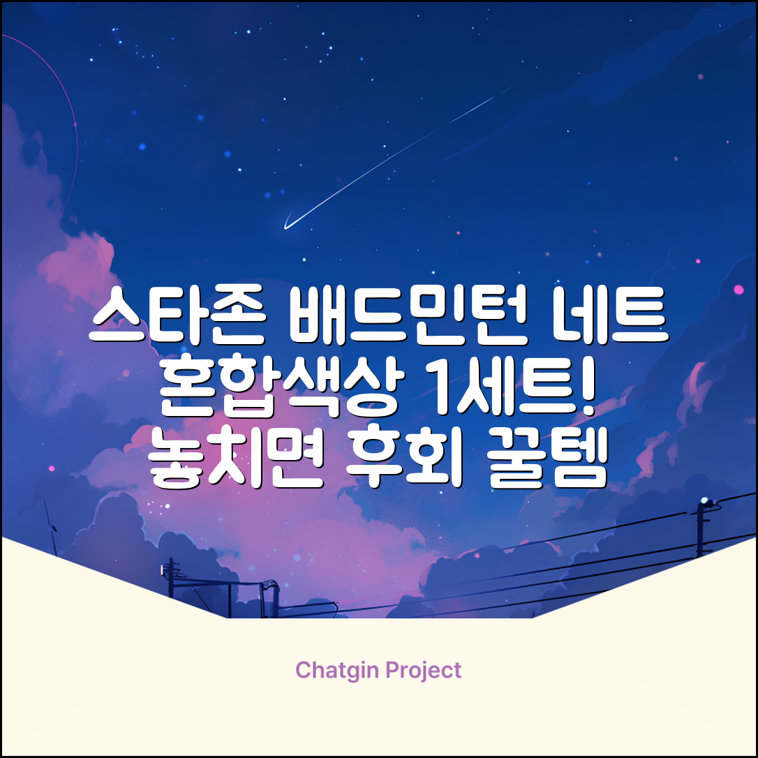 스타존 배드민턴 그물 네트 + 가방, 혼합색상, 1세트 추천 리뷰