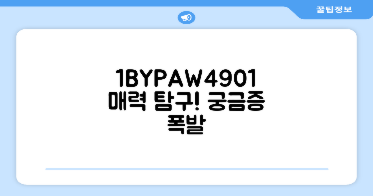 1BYPAW4901, 어떤 매력이 있나요?