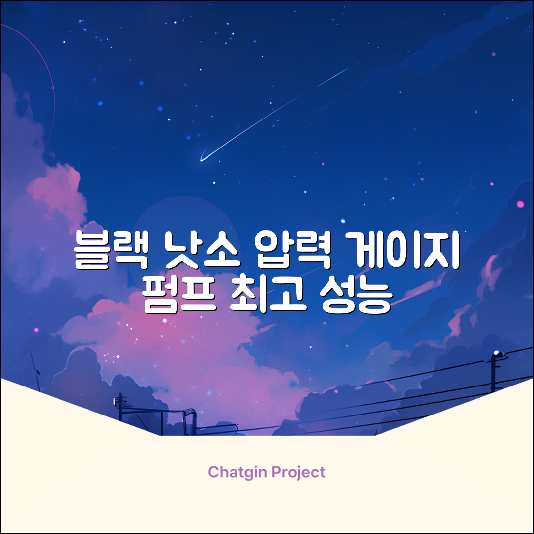 낫소 양방향 압력게이지 펌프, 블랙, 1개 추천 리뷰