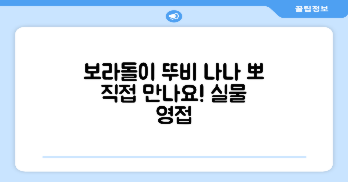 보라돌이 뚜비 나나 뽀, 직접 만나보세요!