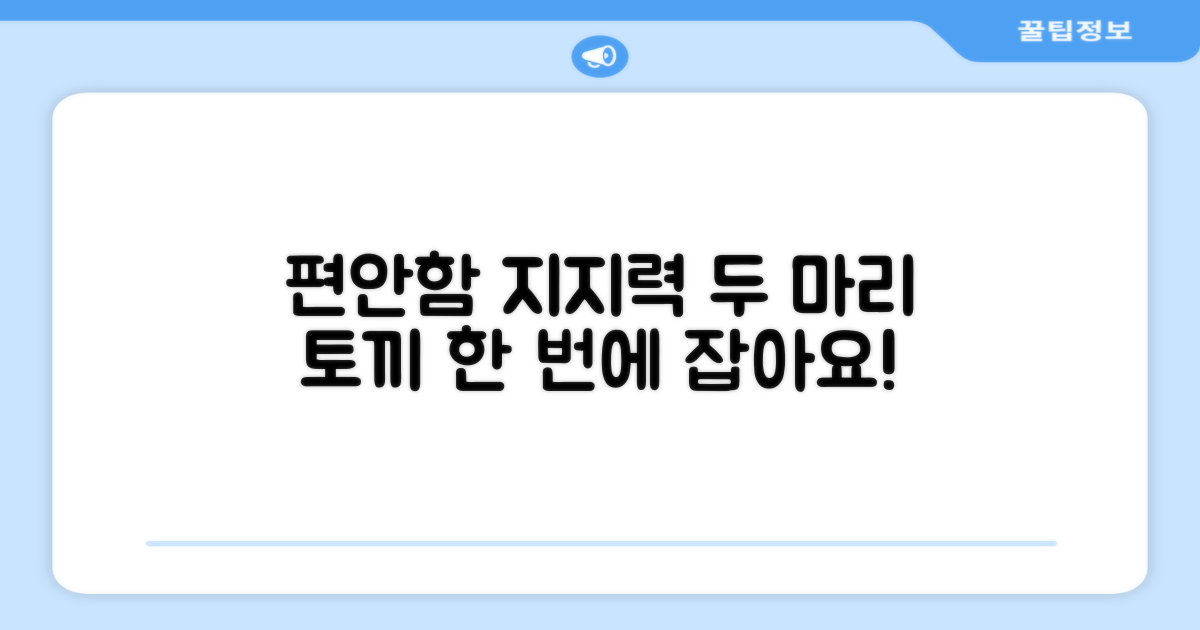 편안함과 지지력, 두 마리 토끼 잡기