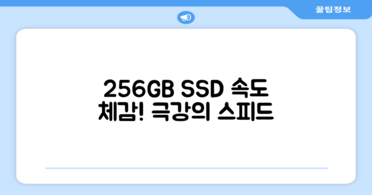256GB SSD 속도 체감